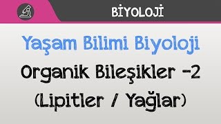 Yaşam Bilimi Biyoloji - Organik Bileşikler -2 Lipitler Yağlar