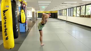 Muay Thai Online Class 16 - Side Kicks and Spinning Side Kicks