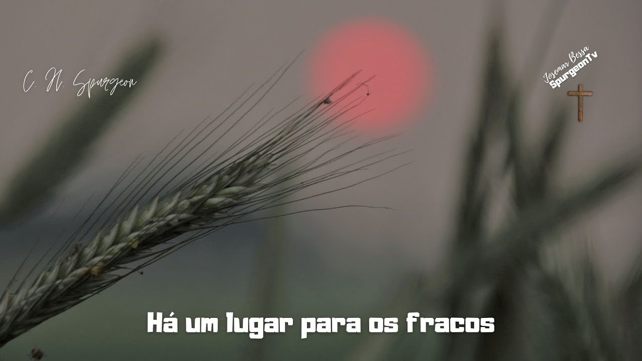 Há um lugar para os fracos | C. H. Spurgeon ( 1834 - 1892 )