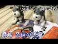 四国八十八箇所霊場巡礼 vol.1 ～発心の道場～