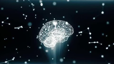 Digital Brain-Shaped Hologram Stock Motion Graphics