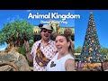 DISNEY WORLD VLOG | Day 5 Animal Kingdom, EPCOT, Christmas Disney Animal Kingdom, Spice Road Table