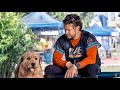 This man not expect that the dog he helped would lead him to become a real champion