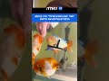 הדג שריגש את הרשת - עם כיסא גלגלים