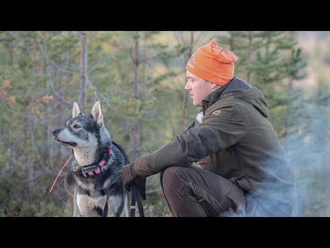 Video: Hur Får Jag Jakttillstånd