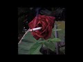 [free] indie / bedroom pop type beat "emptiness"