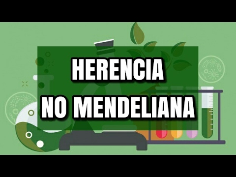 Video: ¿Cuáles son los tipos de herencia no mendeliana?