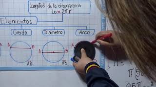 Circulo y circunferencia 3° Grado