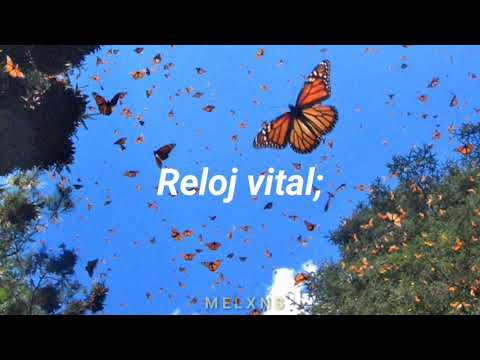 Jaze - Reloj