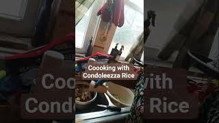 Your Is Not Just For Cooking Rice.