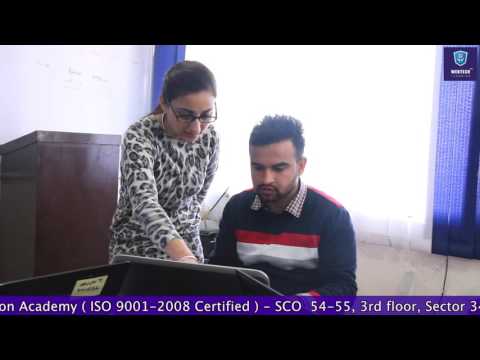Chaitanya Vohra-  Manual & Automation Testing testimonial with WebtechLearning, Chandigarh