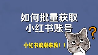 如何低成本运营100个小红书账号，免卡注册小红书，小红书账号购买平台推荐，'TikTok难民'涌入小红书，抓住时代浪潮的策略与小红书账号批量注册技巧