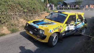 Carlow stages rally 2024 stage 9