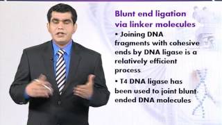 BIO203 Topic044