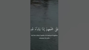 قران كريم بصوت الشيخ ياسر الدوسري🤍