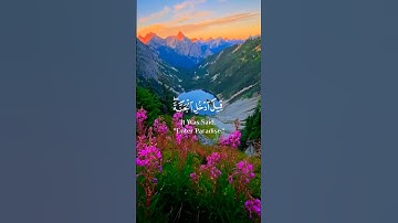 🕊 اكتب شئ تؤجر عليه ✍️ @k_or_an #محمد_هشام #قرآن #تلاوة_خاشعة #quran #ترتيلات_قرآنيه