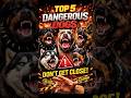 Top 5 World’s Deadliest Dogs #foryou #usa #dog