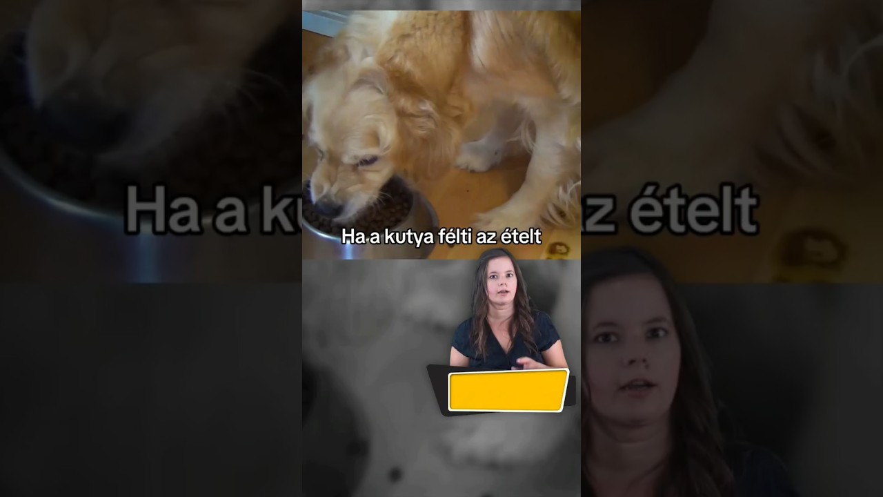 YouTube player