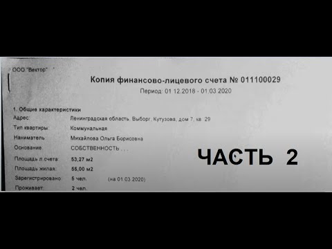 Копия финансово-лицевого счета - исследование и оценка. Часть 2.