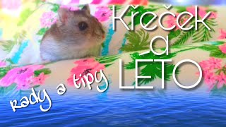 LÉTO S KŘEČKEM/rady a tipy | Hams terka