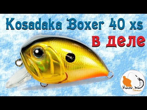 Kosadaka Boxer 40XS