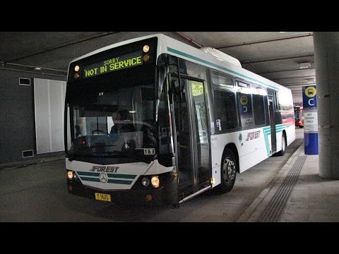 Forest Coachlines M/O