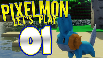 Pixelmon Survival Let