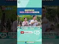 罷免運動