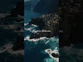 My fav song #crdvideoowner