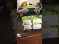 Hot Manual- DY-8- Ribbon printer coding machine in four lines ✅👍