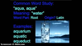 Famous Common Word Study: aqua/aque Wealth