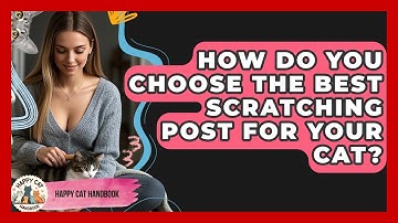 How Do You Choose The Best Scratching Post For Your Cat? - Happy Cat Handbook