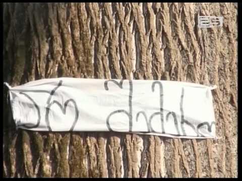 ციხისძირში აქციის მონაწილეთა რიცხვი გაიზარდა