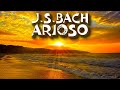 J.S.Bach - Keyboard Concerto No.5 in F minor,  Largo (Arioso). Igor Zavadsky, Ukraine. 23.12.2022