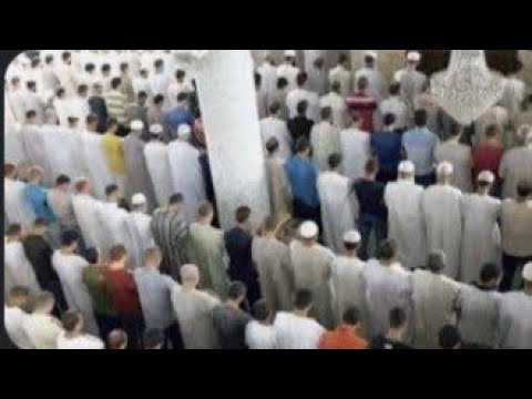 القارئ مهدي حطاب قراءة خاشعة وممتعة من صلاة التراويح