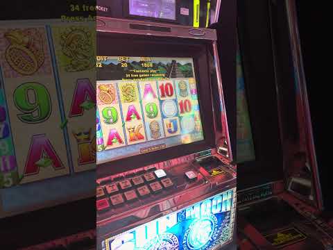 Maximize Wins with MobileWins Casino Free Spins & Play in English - Your Ultimate Online Gaming Destination