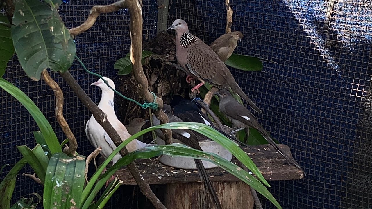 KOK BISA TERJADI SIH 🤔