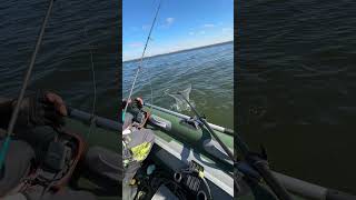 Судачки #fishing #рыбалка #nature