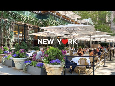 [4K]🇺🇸 Midtown Manhattan Spring Walk :🌸🌹5th Avenue Blooms, Bryant Park, Times Square / May. 2024