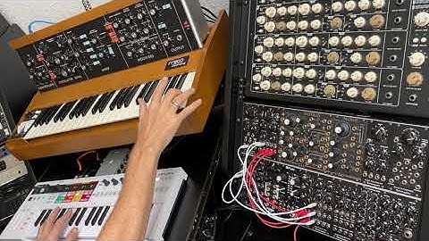 Erica Synth VCO2 , Black System II & KeyStepPro - Modular Synth Jam