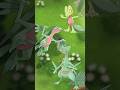 How Many Grass Type Starter Pokemon Stand Up?!