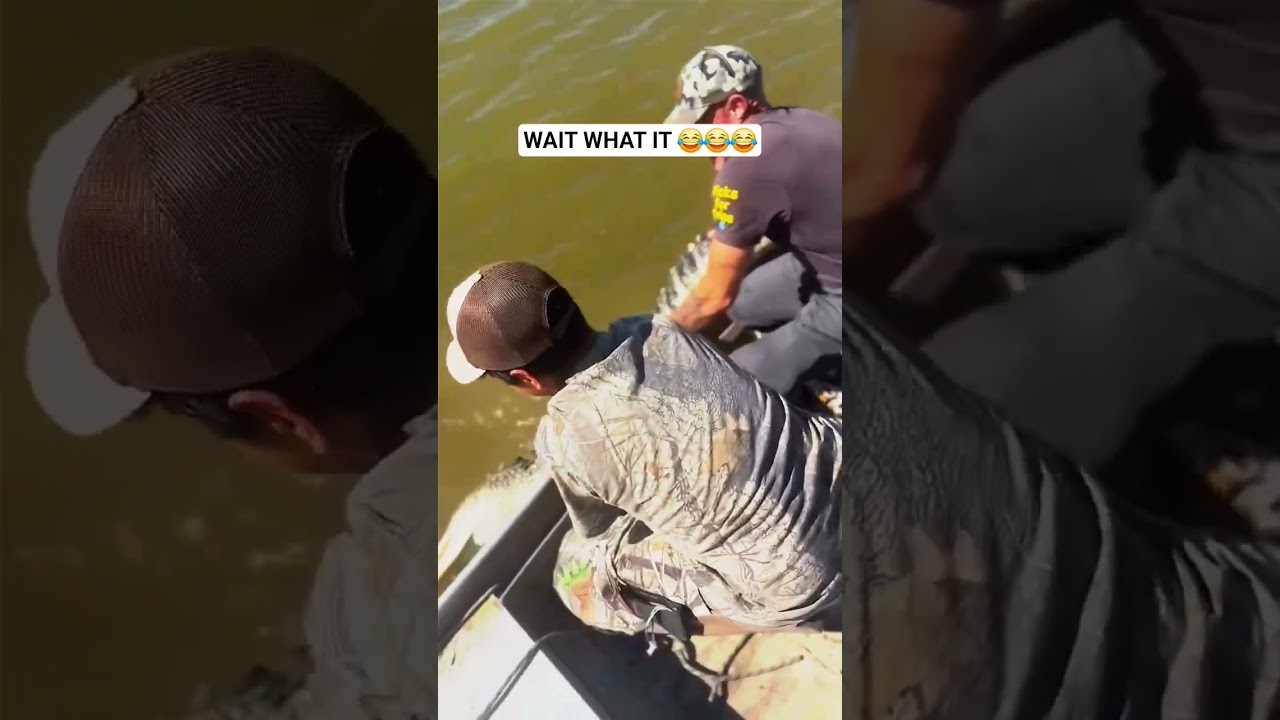 #shortvideo #funny #fishingvideo #memes #funnyshorts #fumnyvideo #funnycomedy #funnyanimals
