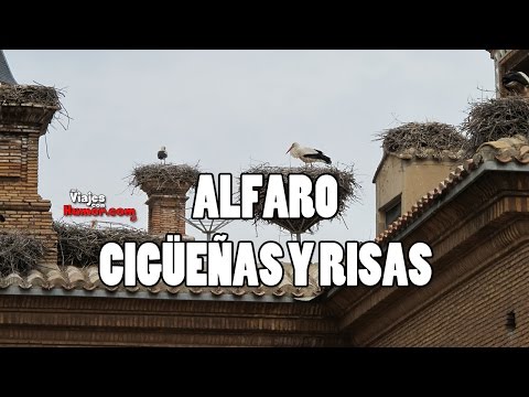 Alfaro, el pueblo riojano de cigüeñas y risas