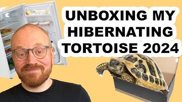 Unboxing my Hibernating Tortoise in 2024
