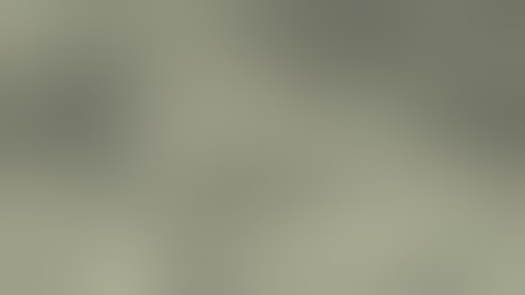 Motion Graphics   Money Pile $100 Dollar Bills Loo