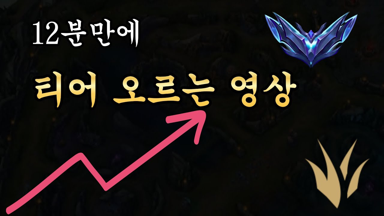 쉬운 기본기 총정리 정글 강의