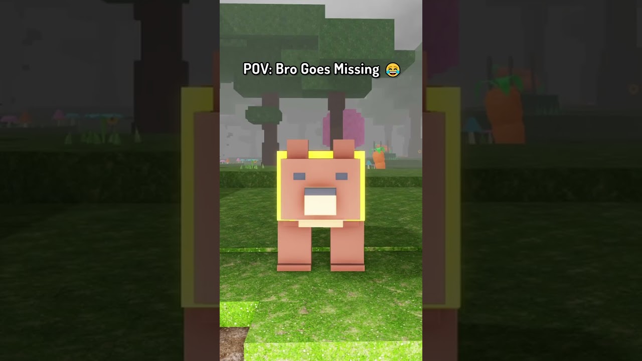 POV: Bro goes missing in 99 Nights ❤️