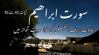 Surah e Ibrahim with urdu translation (ayat 42-52)