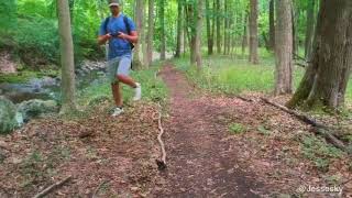 DJI Spark 2020? Dense Forest Active Track Test