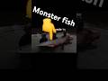 The real monster😳 #jesus#lilysoutdoors#shorts#fishing#shortsviral#edit#fish#rivermonsters#viral#fyp